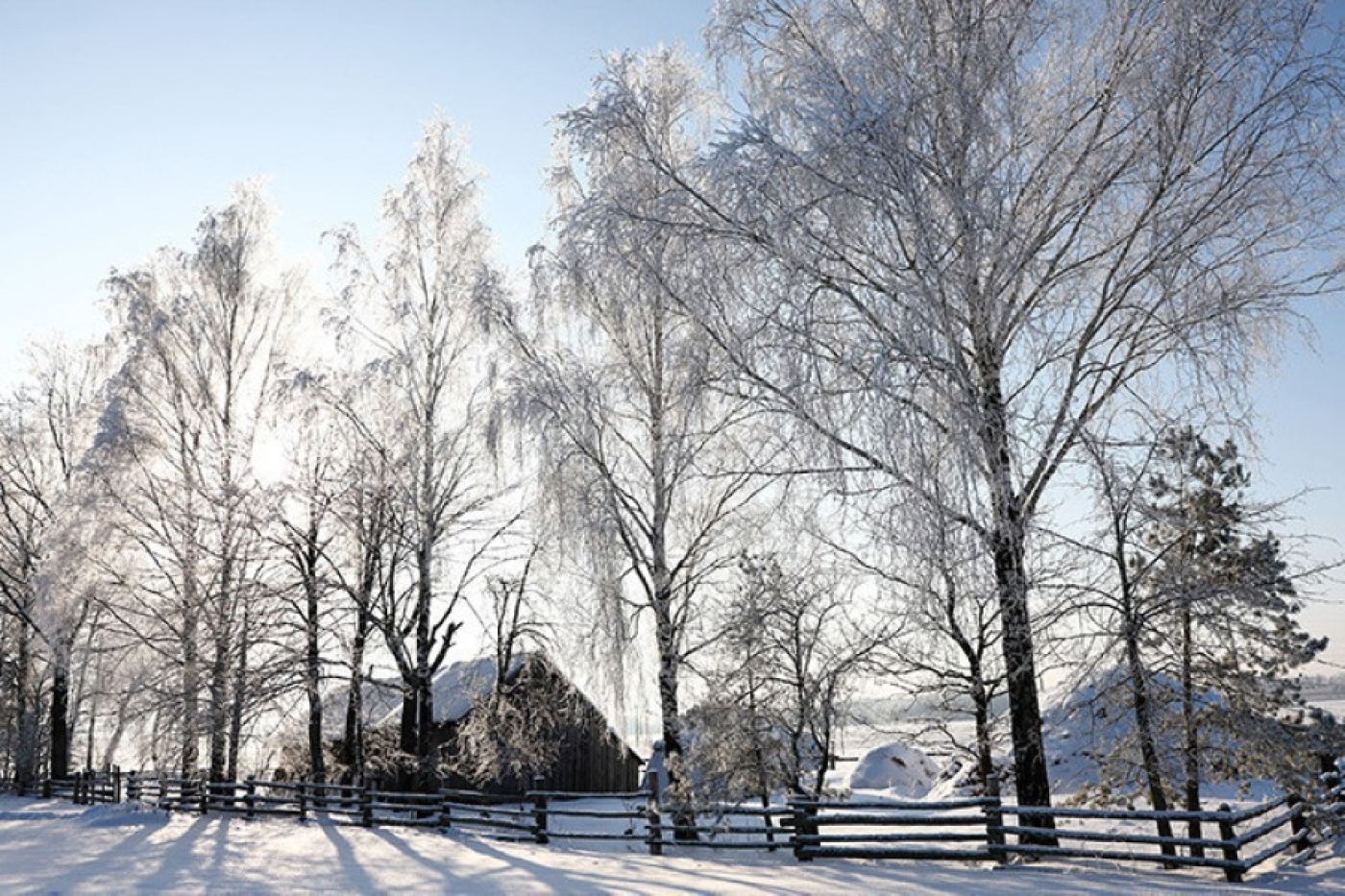 Гололедица и до -16°С. Какой будет погода в Беларуси сегодня