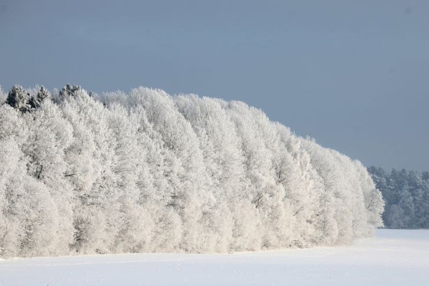 МЧС предупреждает о факторах опасности в сильный мороз