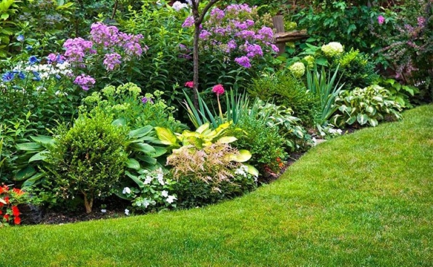 Инициативы гражданского общества включат в план Года благоустройства