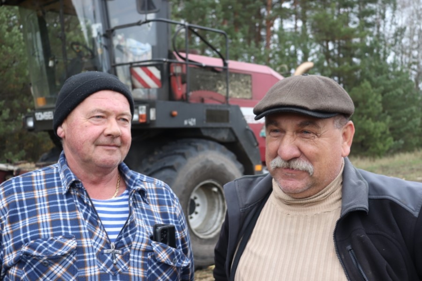 На последних гектарах