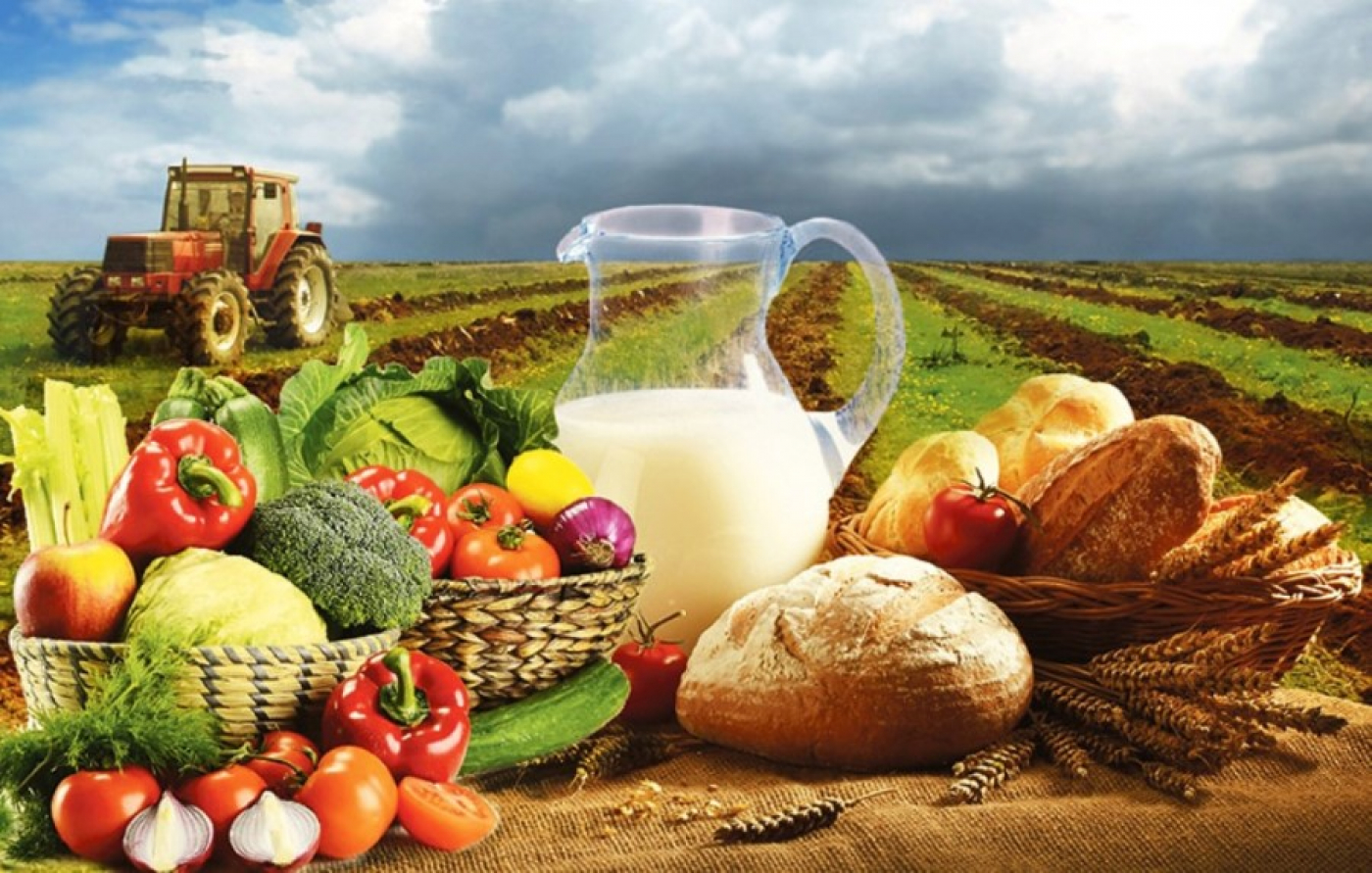 О производстве и реализации сельскохозяйственной продукции в 2022 году