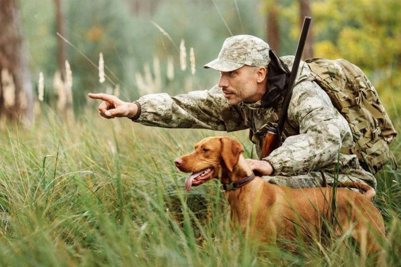 На кого можно охотиться?