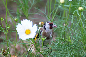 Похолодание, местами даже заморозки: какими будут первые дни календарной осени