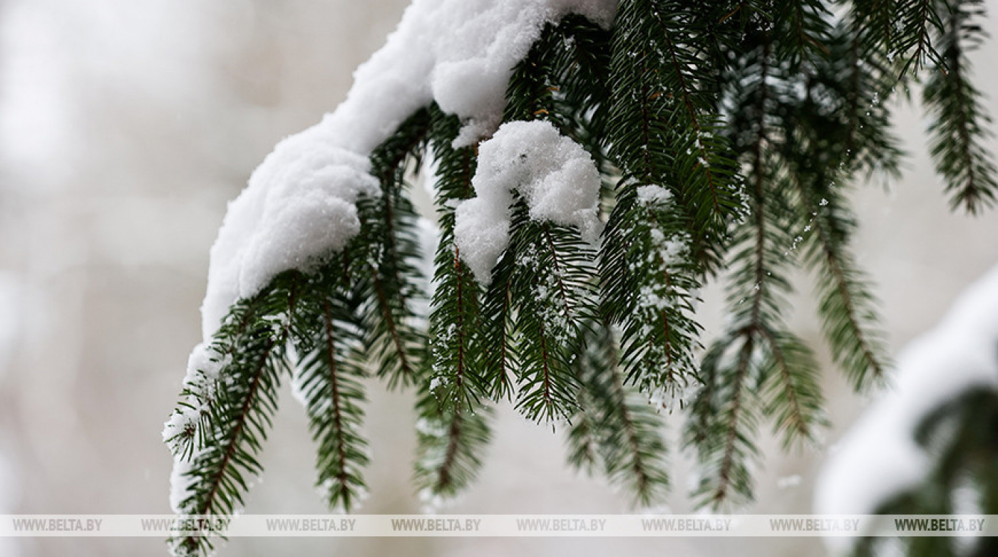 Мокрый снег и гололедица ожидаются в Беларуси 30 ноября