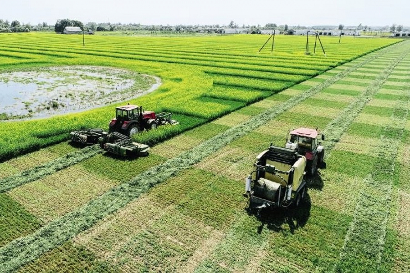 Заготовка кормов и сев озимых культур