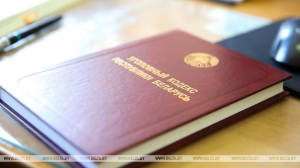 Супруги в Борисове организовали порностудию в квартире