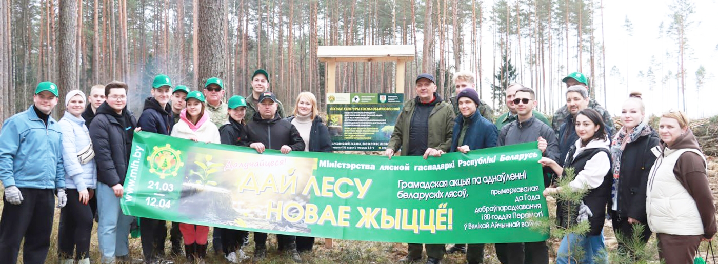 Достояние для потомков: 12 тыс. деревьев высадили сотрудники ЦИК и волонтеры в Березинском районе