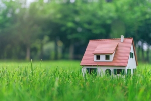 О легализации самовольно занятых земельных участков