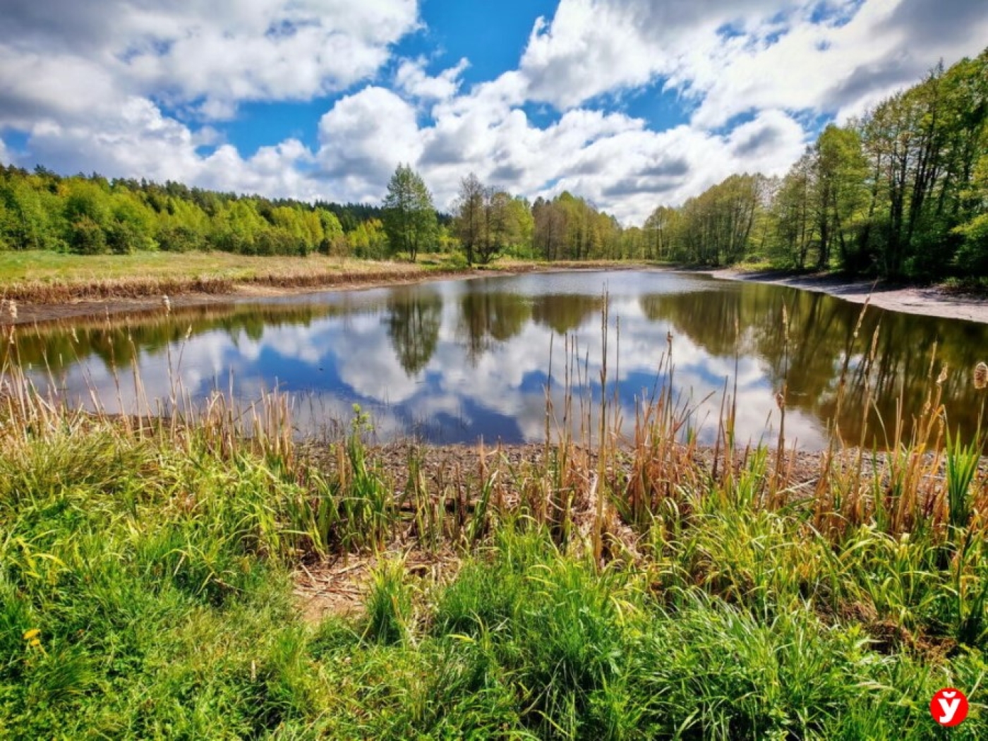 Водоем никому не нужен, он умирает! С какими проблемами к Кушнаренко пришли жители области