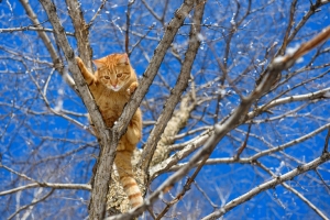 Весна идет, весне дорогу: Рябов рассказал о погоде с 9 по 15 марта