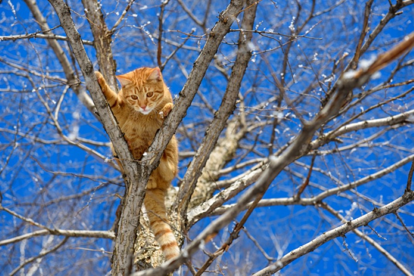 Весна идет, весне дорогу: Рябов рассказал о погоде с 9 по 15 марта