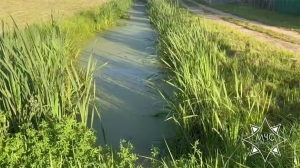 Работник МЧС в Миорах спас тонувшего в мелиоративном канале мужчину