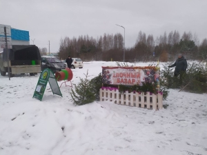 Возле "Санты" сегодня можно купить ёлочки к Новому году