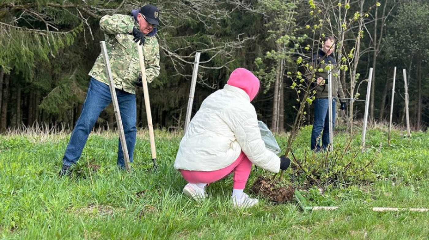 Чище, краше, зеленее. Министерства и ведомства Беларуси участвуют в республиканском субботнике