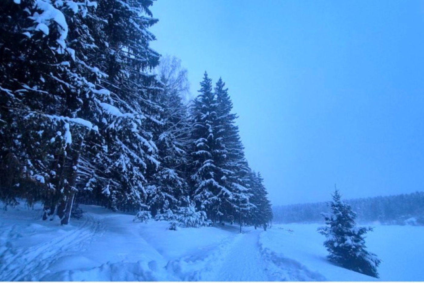 Слабая метель, местами гололед. Какой будет погода в Беларуси 3 января