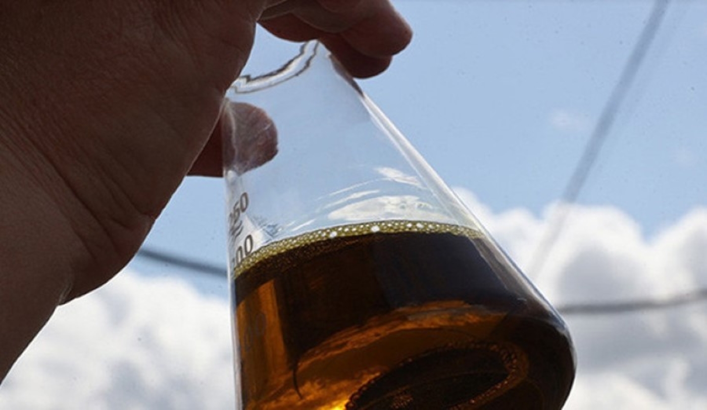 Питает и увлажняет. Как используют рапсовое масло в косметологии