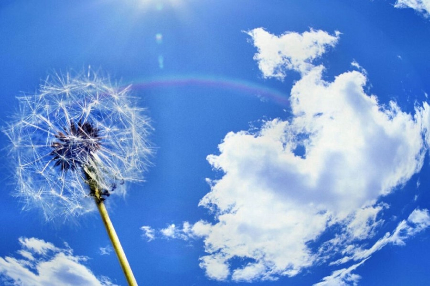 За 2024 год в семи городах Беларуси вообще не фиксировалось превышения нормативов качества воздуха.