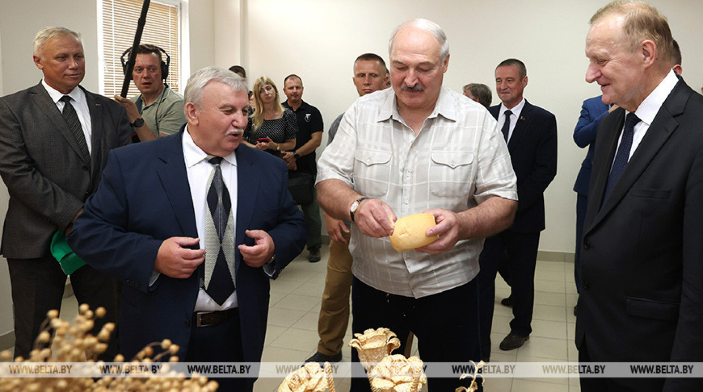 Обеспечит ли Беларусь свою продовольственную безопасность? Лукашенко потребовал включить "полную диктатуру"