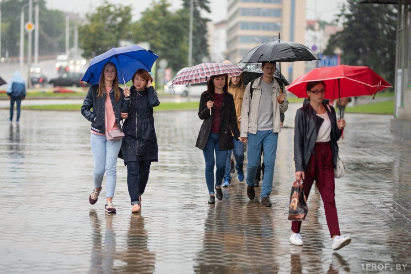 Погода в Беларуси 20 марта: кратковременный дождь и от -3 °С ночью до +14 °С днем