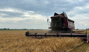 На уборке урожая задействованы 183 молодежных экипажа