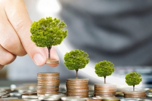 Вырос размер госпомощи на организацию своего дела