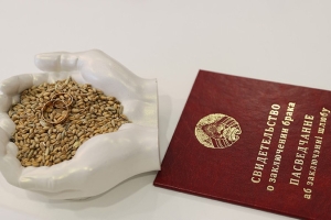 Белоруски в возрасте 65 лет и старше стали чаще вступать в брак