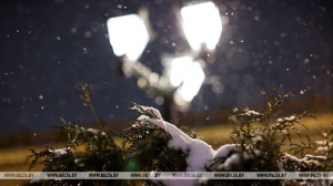 Мокрый снег и слабая метель ожидаются ночью в центральной и восточной части Беларуси