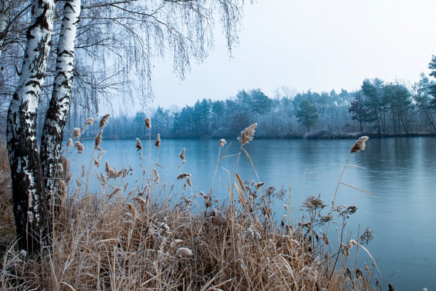 Синоптик Рябов рассказал, когда в Беларусь вернутся заморозки и гололедица