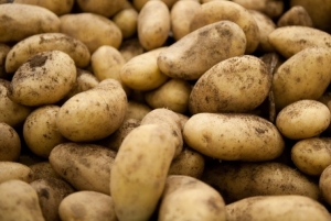 КГК проверяет наличие в магазинах отечественного картофеля