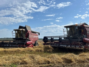 Березинцы помогают соседям