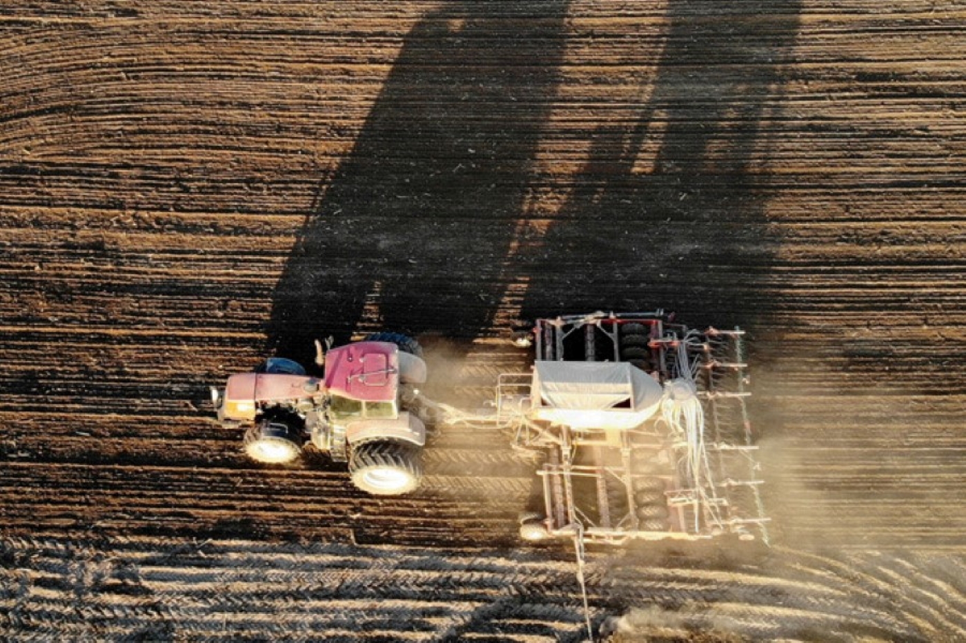 Минская область лидирует по севу яровых культур