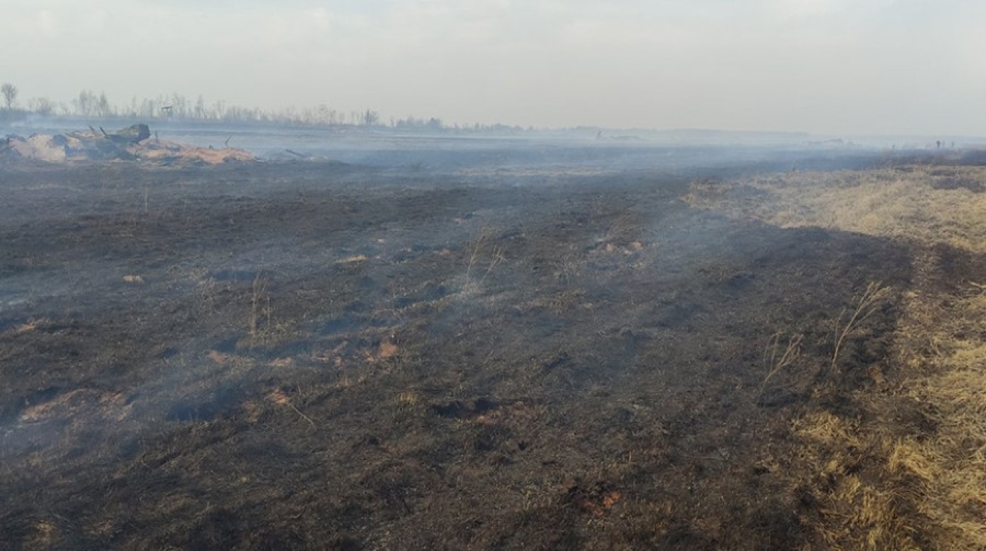 В Солигорском районе спасатели ликвидировали загорание торфа