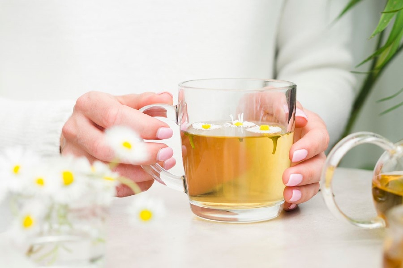 Узнали, можно ли пить чай натощак