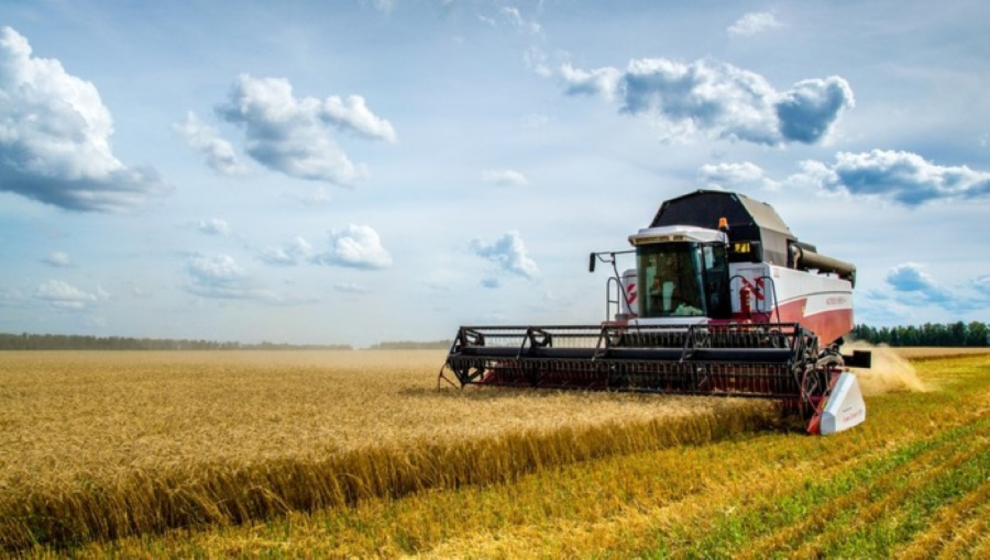 Уборочная кампания продолжается в Беларуси. Цифры на 25 июля