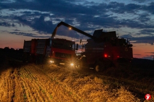 Не допустить потерь. В Минской области организовали работу комбайнов в ночную смену