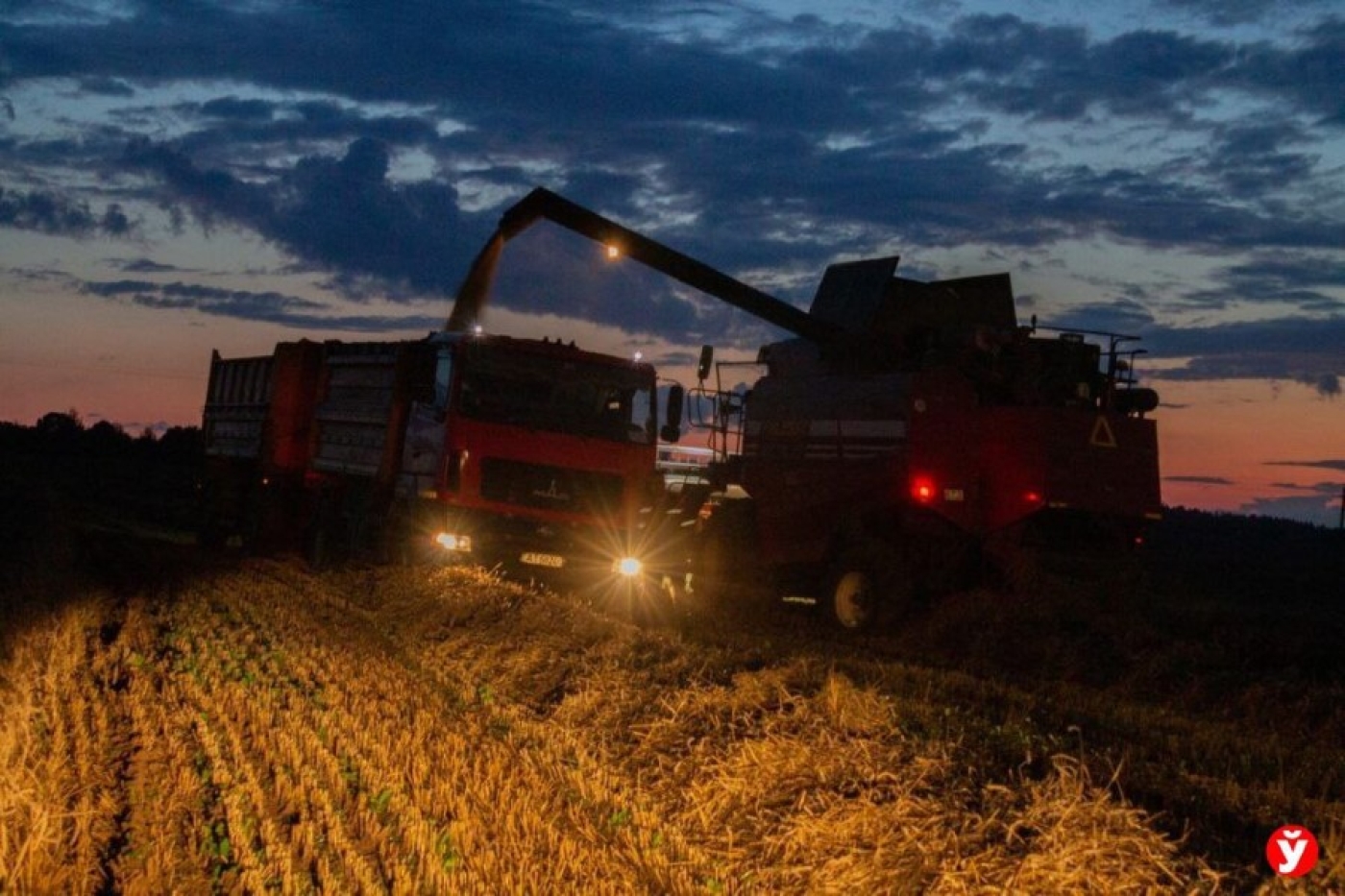 Не допустить потерь. В Минской области организовали работу комбайнов в ночную смену