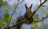 Кратковременне дожди и слабый туман прогнозируют 24 июня в Беларуси
