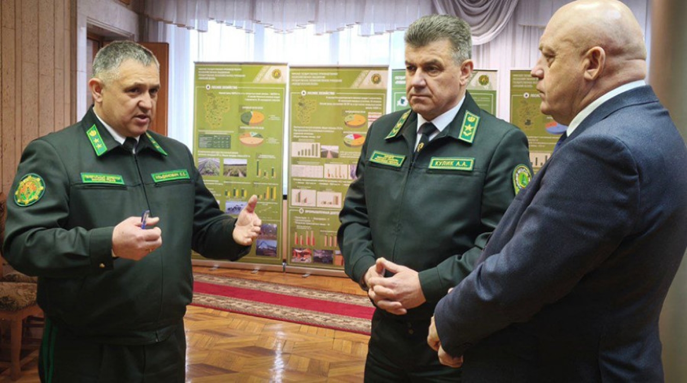 Беседки, домокомплекты. Какая продукция лесхозов Минской области пользуется наибольшим спросом