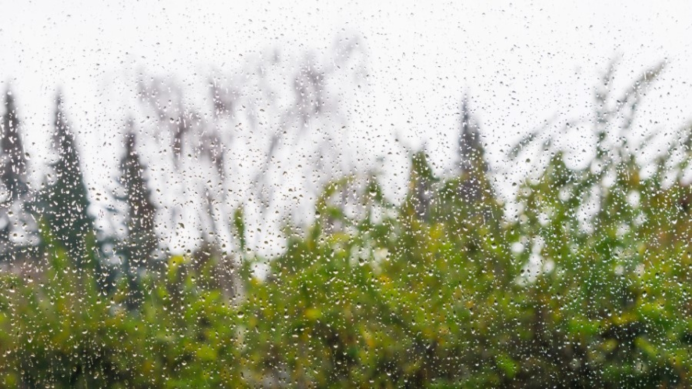 На 22 августа Белгидромет объявил оранжевый уровень опасности из-за сильных дождей