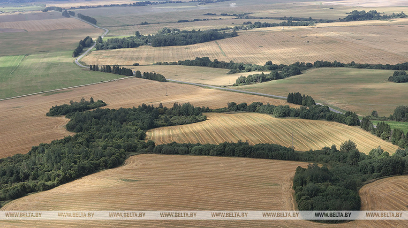 Лукашенко: прозеваем в мелиорации еще 5-7 лет - и вернуться будет почти невозможно