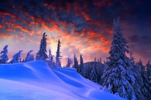 Народные приметы на 17 февраля 2025: что нужно и нельзя делать в этот день