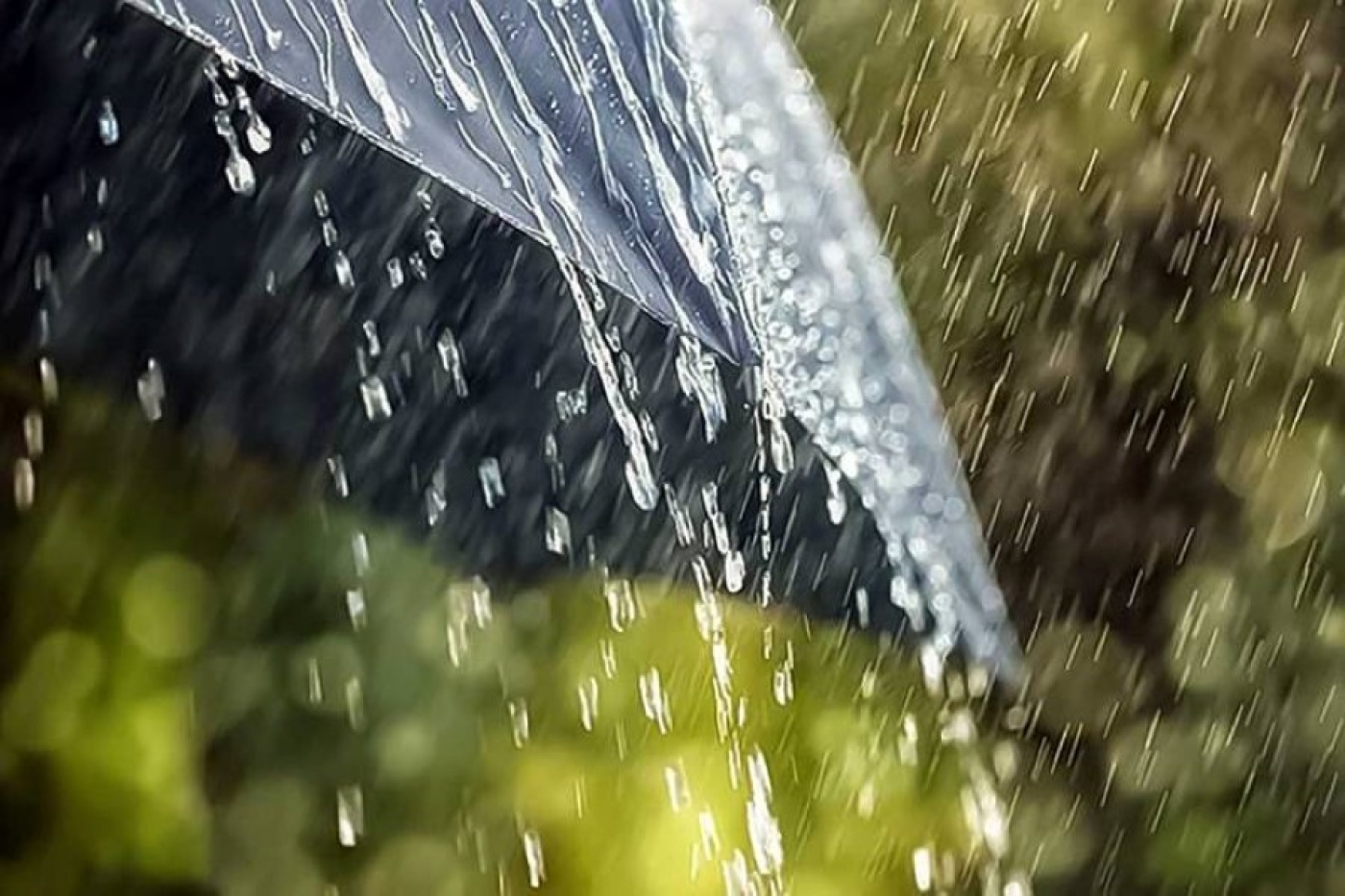 Погода в Беларуси 3 июня: оранжевый уровень опасности из-за сильных дождей и от +7 °С до +25 °С