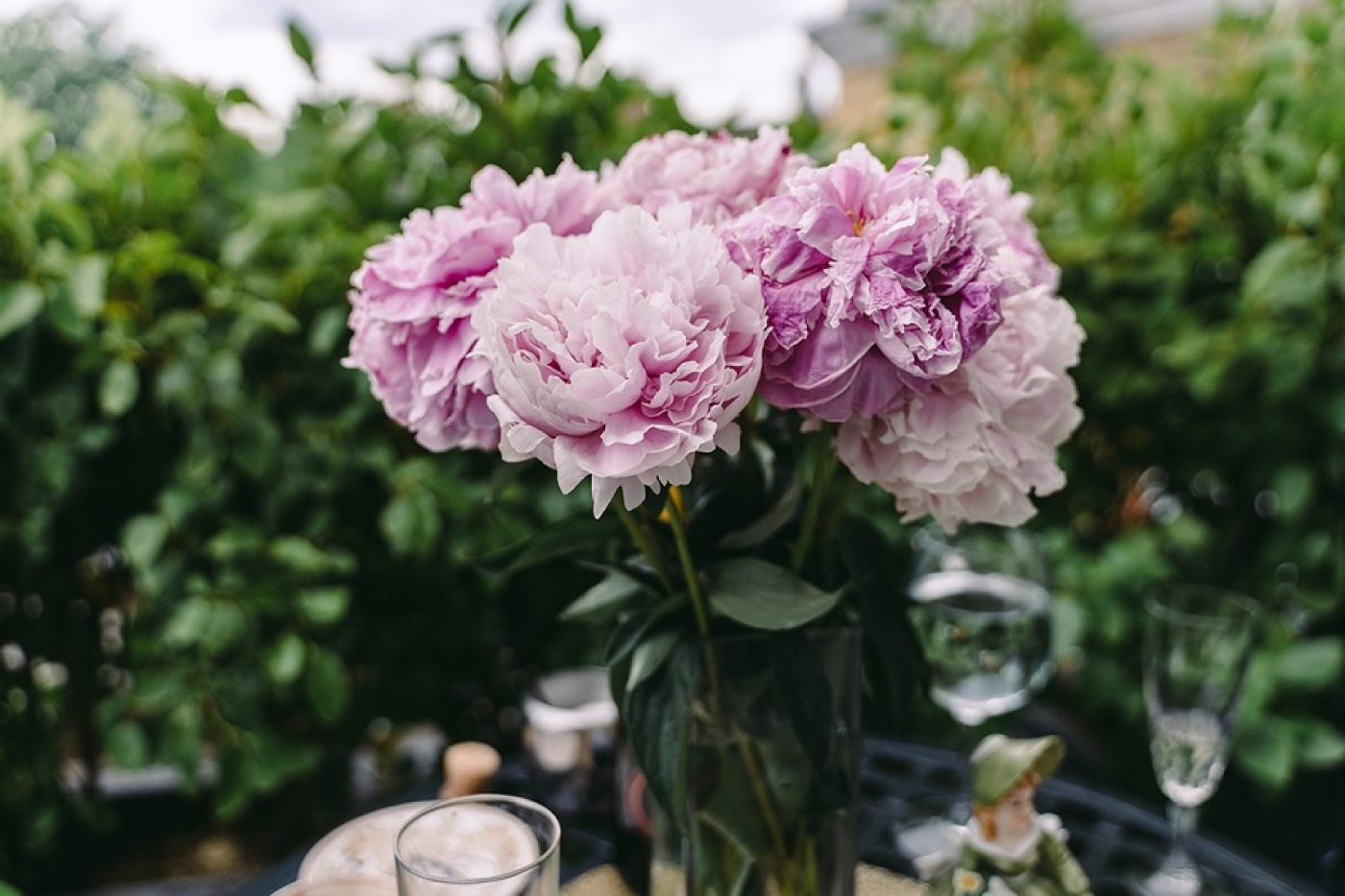 Когда и как правильно обрезать пионы после цветения, чем подкормить растения