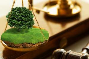 Какая ответственность предусмотрена за самовольное занятие учатка?