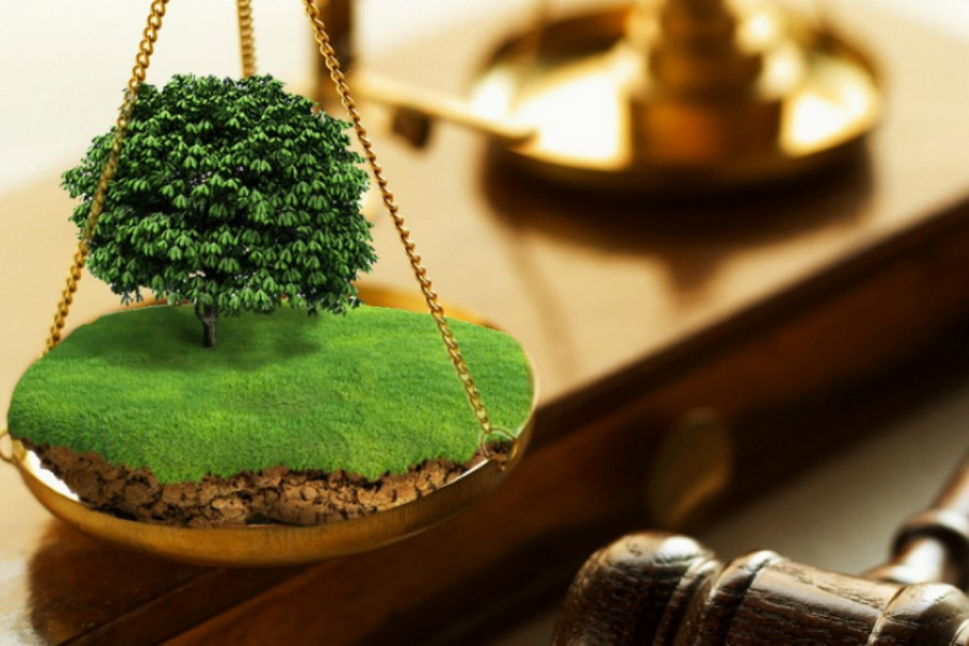 Какая ответственность предусмотрена за самовольное занятие учатка?