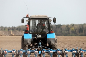 Массовый сев сахарной свеклы начался в Беларуси