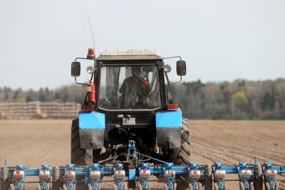 Массовый сев сахарной свеклы начался в Беларуси