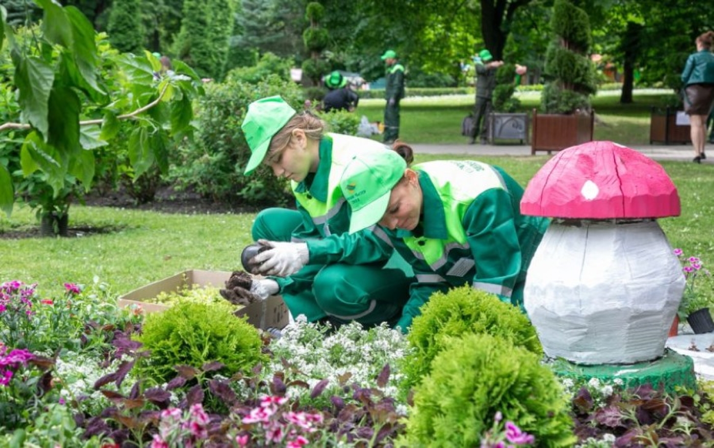 От озеленения до очистки родников. План мероприятий Года благоустройства утвердили в Минской области