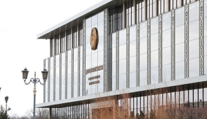 "Чтобы не устроили чехарду в органах власти". Лукашенко о задаче экспертного совета при Совете Республики