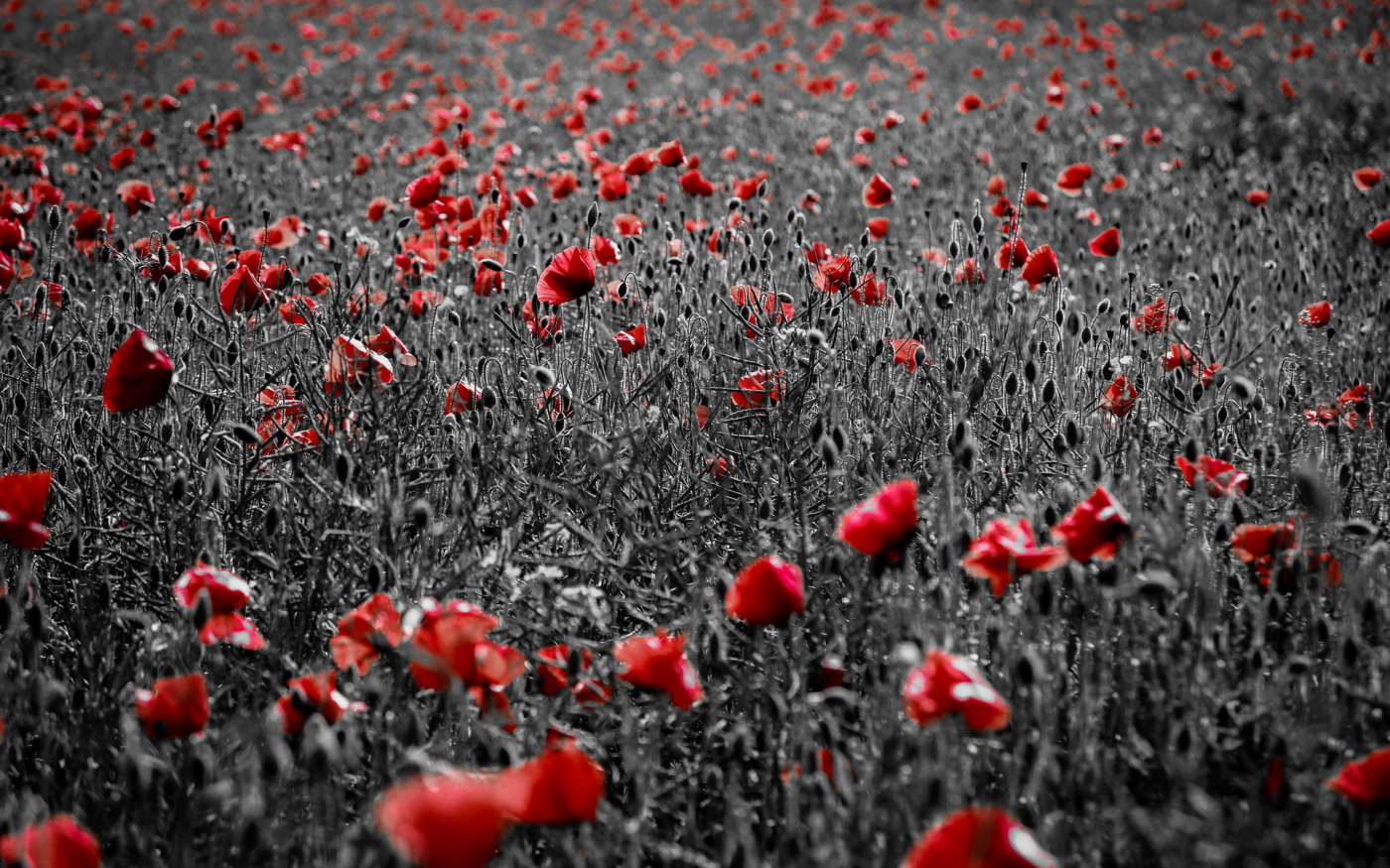 Специальная программа «МАК-2022»